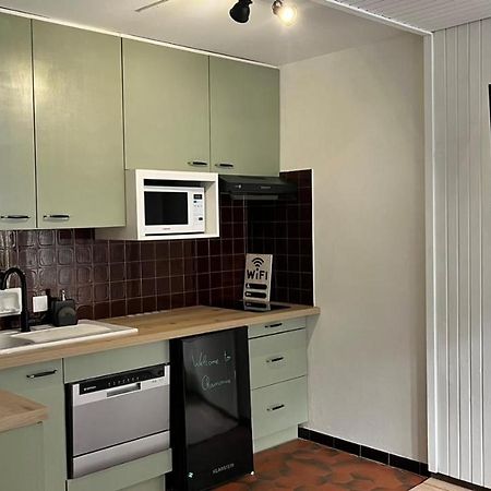 Studio Dent Du Caiman, Chamonix Hyper Centre, Parking, Vue Mont Blanc Exterior foto
